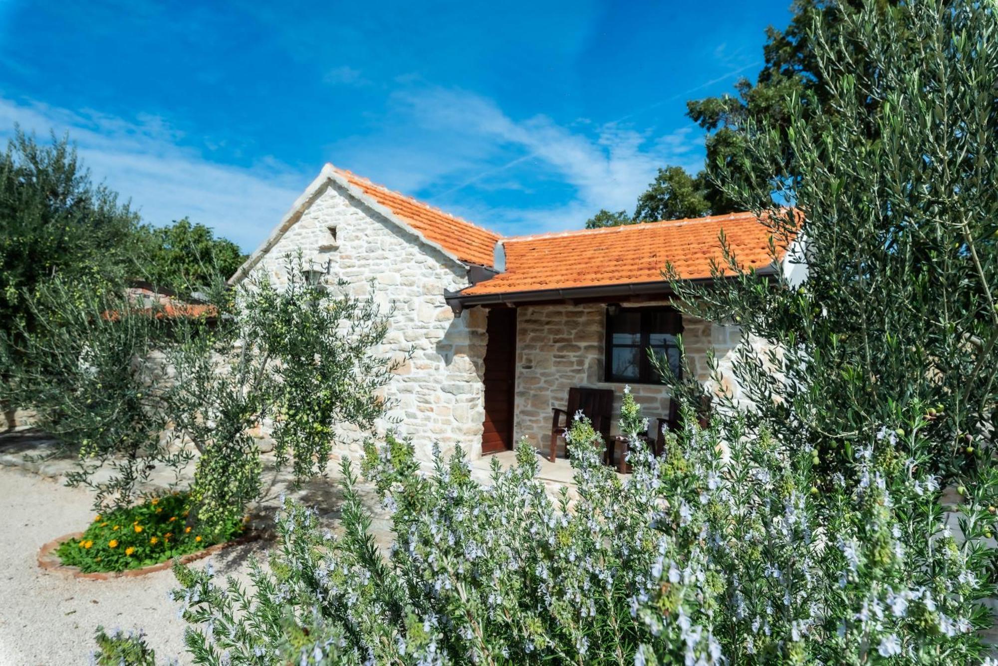 Dalmatian Country House Irena Bruska Eksteriør billede